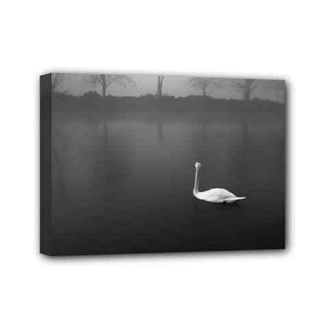 Swan 5  X 7  Framed Canvas Print by artposters
