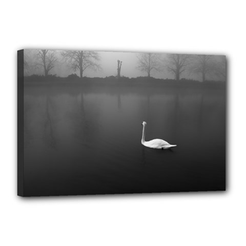 Swan 12  X 18  Framed Canvas Print by artposters