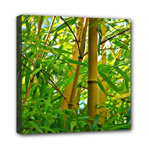 Bamboo Mini Canvas 8  X 8  (framed) by Siebenhuehner