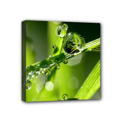 Waterdrops Mini Canvas 4  X 4  (framed) by Siebenhuehner