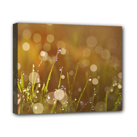 Waterdrops Canvas 10  X 8  (framed) by Siebenhuehner