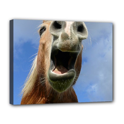 Haflinger  Canvas 14  X 11  (framed) by Siebenhuehner