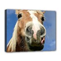 Haflinger  Deluxe Canvas 20  x 16  (Framed) View1