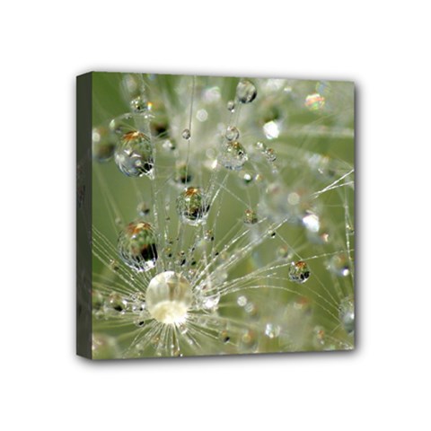 Dandelion Mini Canvas 4  X 4  (framed) by Siebenhuehner