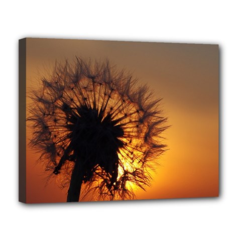 Dandelion Canvas 14  X 11  (framed) by Siebenhuehner