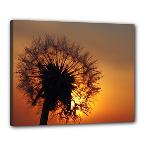 Dandelion Canvas 20  X 16  (framed) by Siebenhuehner