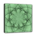 Spirograph Mini Canvas 8  x 8  (Framed) View1