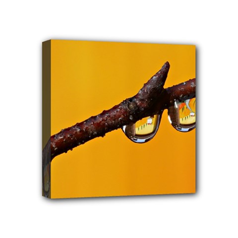 Tree Drops  Mini Canvas 4  X 4  (framed) by Siebenhuehner