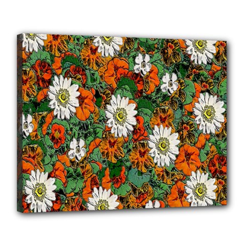 Flowers Canvas 20  X 16  (framed) by Rbrendes