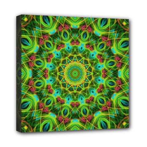 Peacock Feathers Mandala Mini Canvas 8  X 8  (framed) by Zandiepants