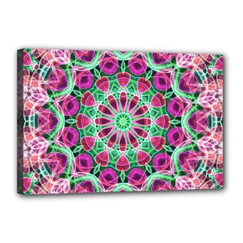 Flower Garden Canvas 18  X 12  (framed) by Zandiepants
