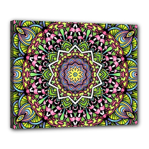Psychedelic Leaves Mandala Canvas 20  X 16  (framed) by Zandiepants