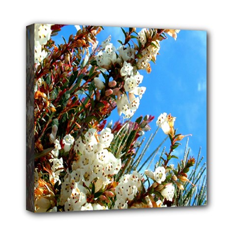 Australia Flowers Mini Canvas 8  X 8  (framed) by Rbrendes
