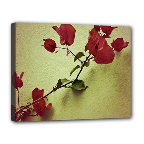 Santa Rita Flower Canvas 14  X 11  (framed) by dflcprints