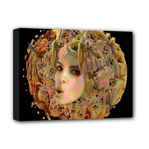 Organic Planet Deluxe Canvas 16  X 12  (framed)  by icarusismartdesigns