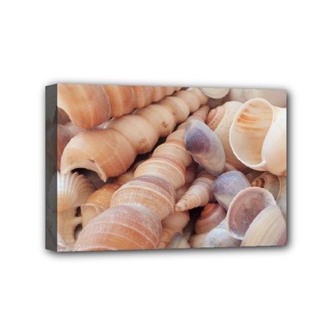 Seashells 3000 4000 Mini Canvas 6  X 4  (framed) by yoursparklingshop