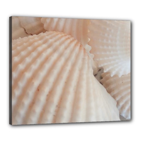 Sunny White Seashells Canvas 24  X 20  (framed) by yoursparklingshop