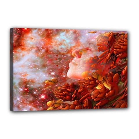 Star Dream Canvas 18  X 12  (framed) by icarusismartdesigns
