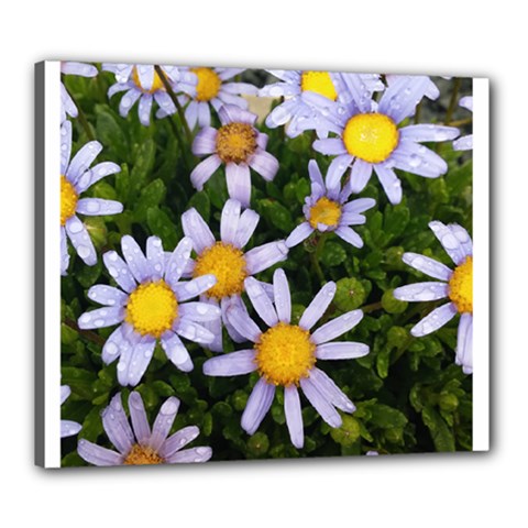 Yellow White Daisy Flowers Canvas 24  X 20  (framed) by yoursparklingshop