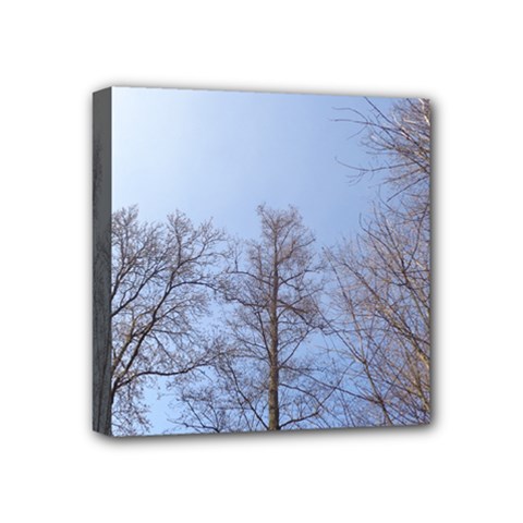 Large Trees In Sky Mini Canvas 4  X 4  (framed) by yoursparklingshop