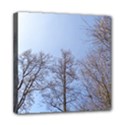 Large Trees in Sky Mini Canvas 8  x 8  (Framed) View1