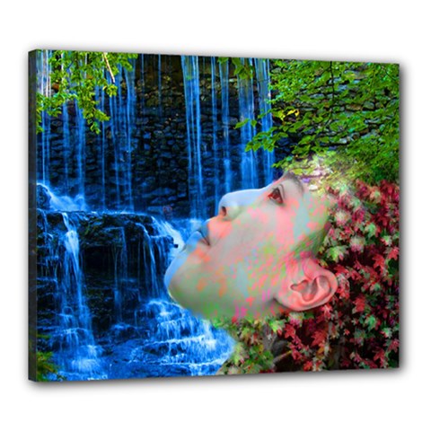 Fountain Of Youth Canvas 24  X 20  (framed) by icarusismartdesigns