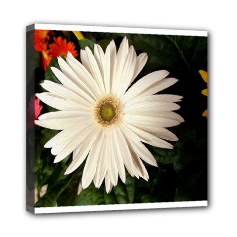 Canvases Mini Canvas 8  X 8  by infloence