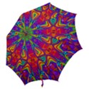 Abstract 1 Hook Handle Umbrellas (Large) View2