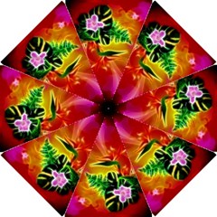 Awesome F?owers With Glowing Lines Hook Handle Umbrellas (small) by FantasyWorld7