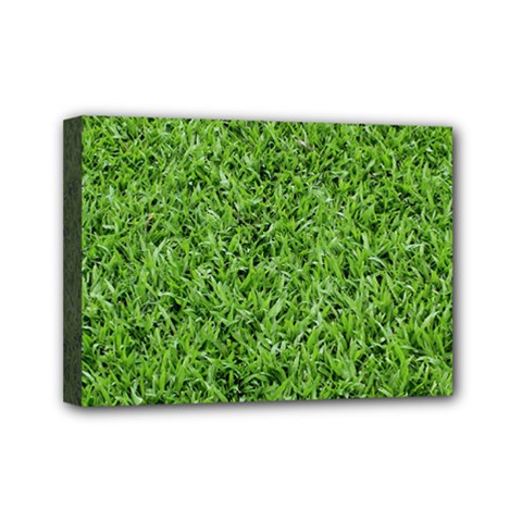 Green Grass 2 Mini Canvas 7  X 5  by trendistuff