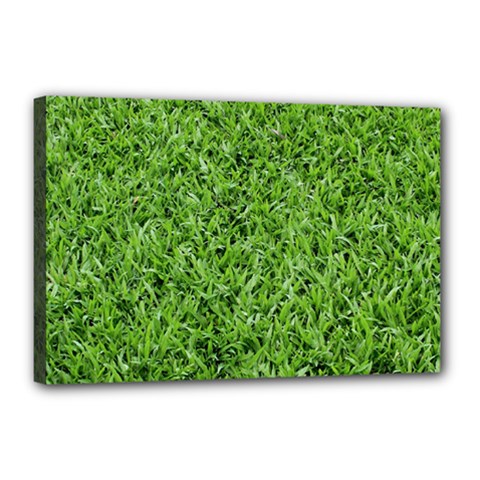 Green Grass 2 Canvas 18  X 12  by trendistuff