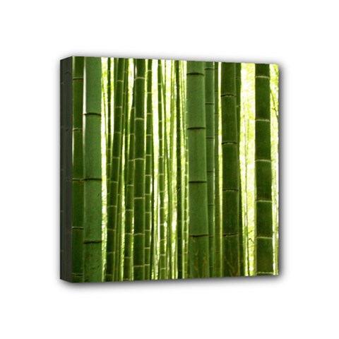 Bamboo Grove 2 Mini Canvas 4  X 4  by trendistuff