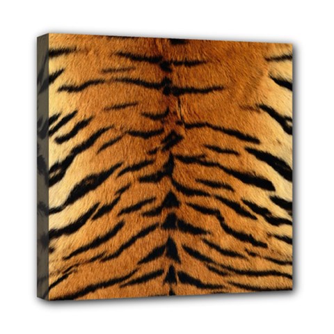 Tiger Fur Mini Canvas 8  X 8  by trendistuff