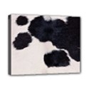 SPOTTED COW HIDE Canvas 10  x 8  View1