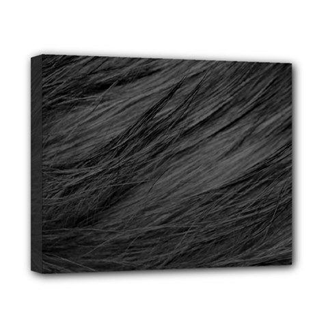 Long Haired Black Cat Fur Canvas 10  X 8  by trendistuff