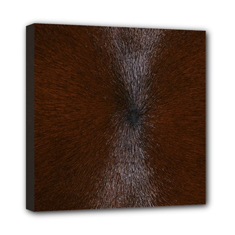 Horse Fur Mini Canvas 8  X 8  by trendistuff