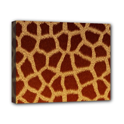 Giraffe Hide Canvas 10  X 8  by trendistuff