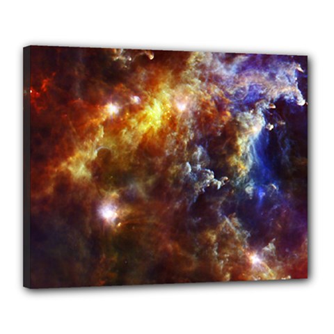 Rosette Cloud Canvas 20  X 16  by trendistuff