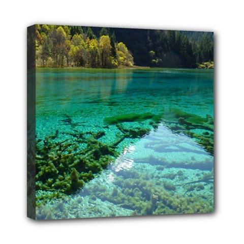 Jiuzhaigou Valley 2 Mini Canvas 8  X 8  by trendistuff