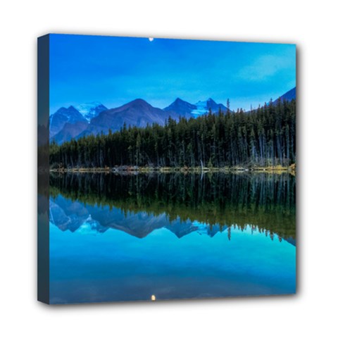 Herbert Lake Mini Canvas 8  X 8  by trendistuff