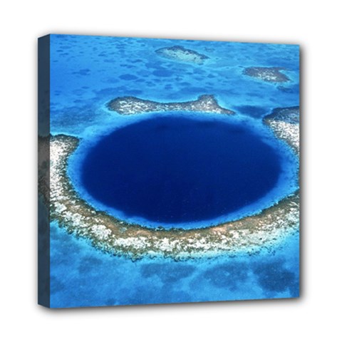Great Blue Hole 2 Mini Canvas 8  X 8  by trendistuff