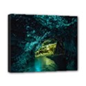 WAITOMO GLOWWORM Canvas 10  x 8  View1