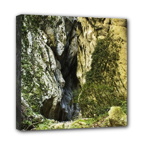 Mountain Path Mini Canvas 8  X 8  by trendistuff