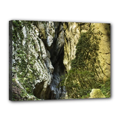 Mountain Path Canvas 16  X 12  by trendistuff