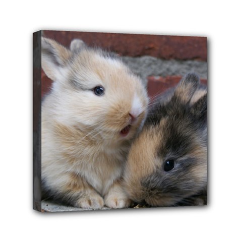Small Baby Rabbits Mini Canvas 6  X 6  by trendistuff