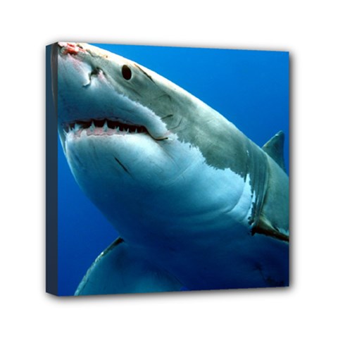 Great White Shark 3 Mini Canvas 6  X 6  by trendistuff