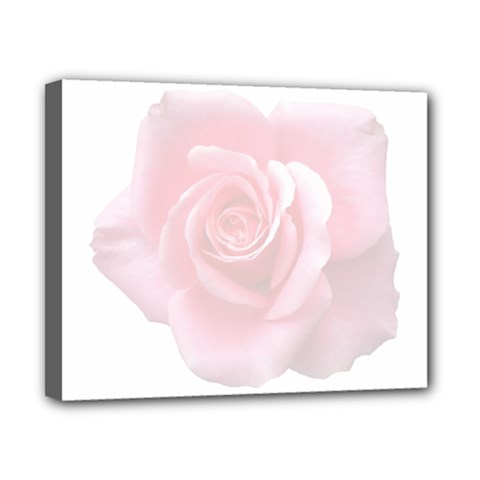 Pink White Love Rose Canvas 10  X 8  by yoursparklingshop