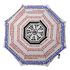 Israel Home Temple Of God Hook Handle Umbrellas (medium) by SugaPlumsEmporium