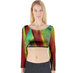 Stained Glass Window Long Sleeve Crop Top by SugaPlumsEmporium