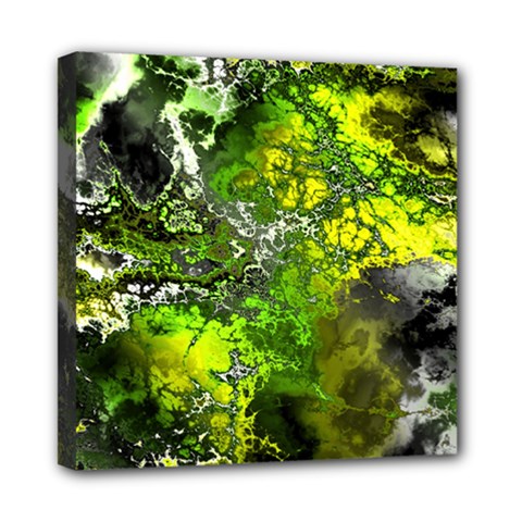 Amazing Fractal 27 Mini Canvas 8  X 8  by Fractalworld